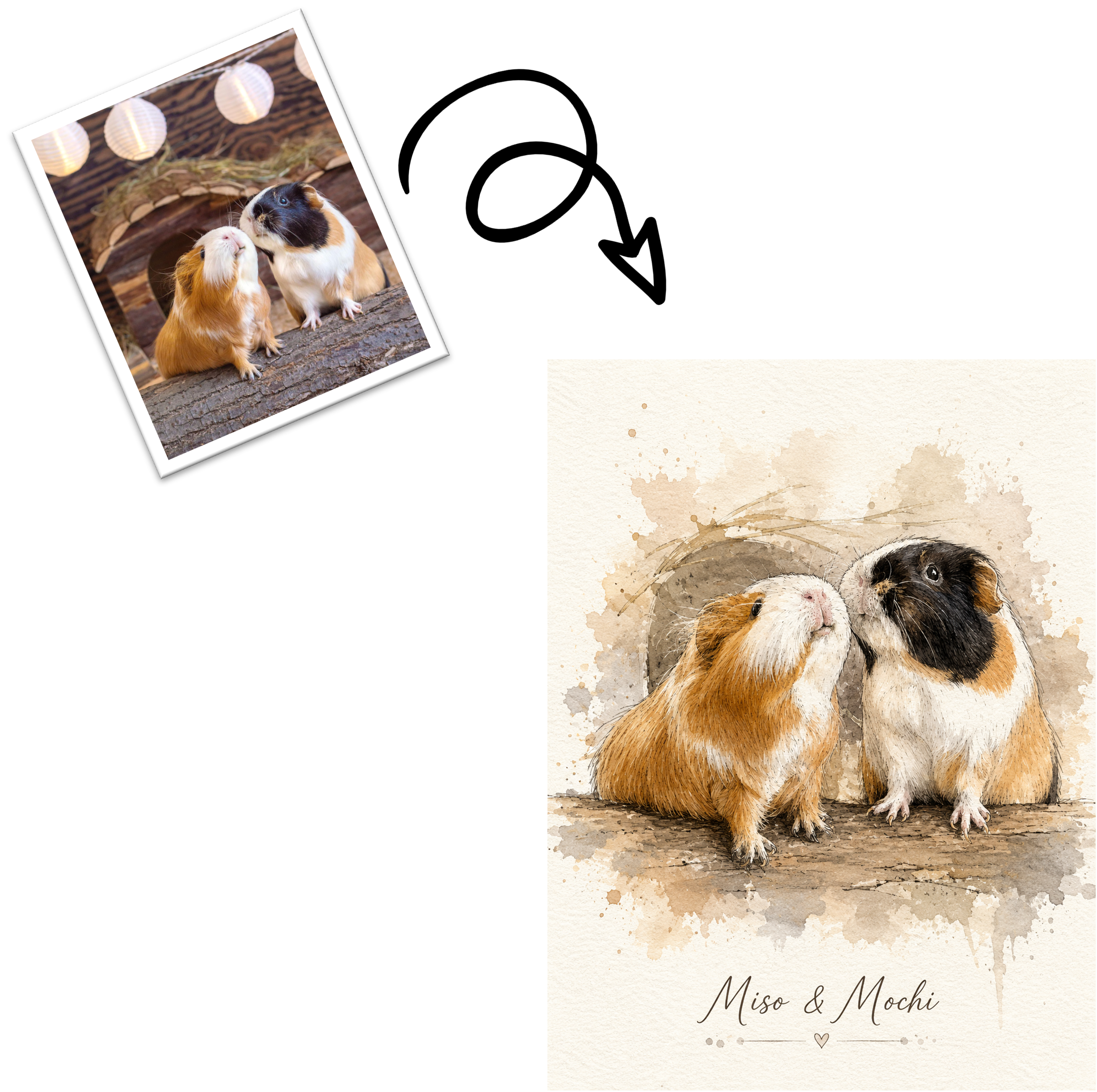 Custom guinea pig portrait from photo 6 Custom cavy portrait created from customer pet photo