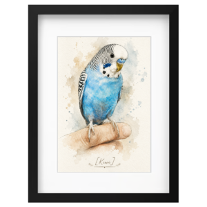 Framed parrot watercolor print from customer photo
